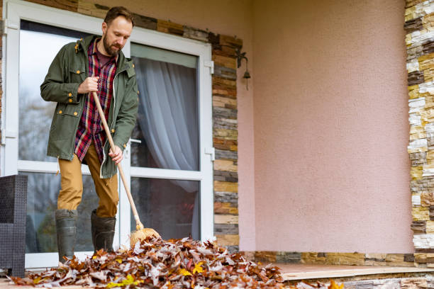 Attic Cleanout Services in Elmo, TX