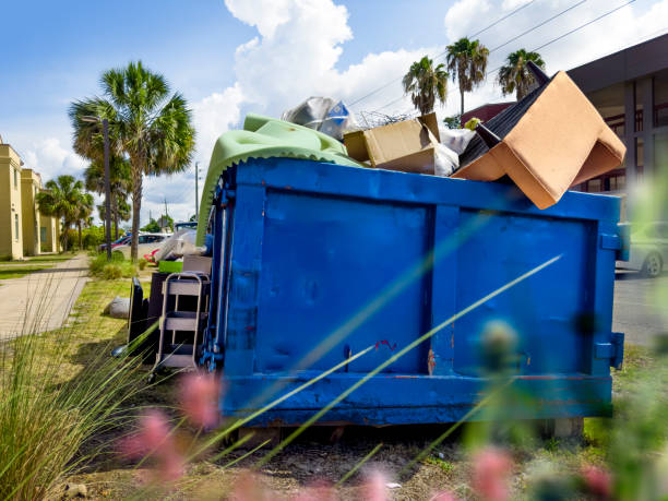Best Basement Cleanout Services  in Elmo, TX